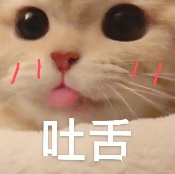 网红小胖妞表情包狐狸