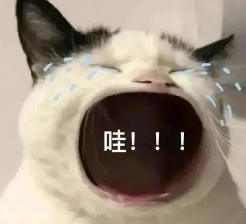 别傻了,现在只有你还在一边焦虑一边刷题