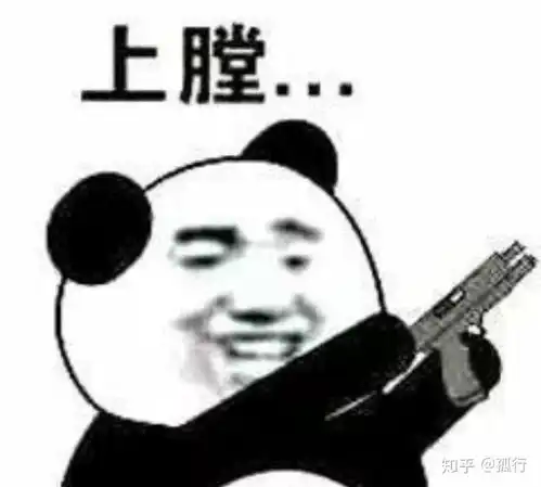 熊猫头表情包搞笑视频消