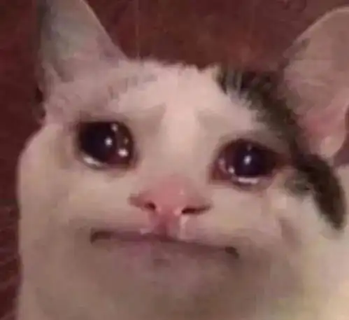 猫咪哭的样子,好像大明湖畔的夏雨荷第83期喵表情