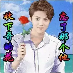 第一次发现鹿晗吴亦凡他们还可以这么土
