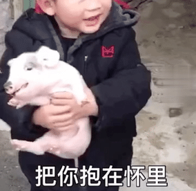 wan表情包我的小熊饼干