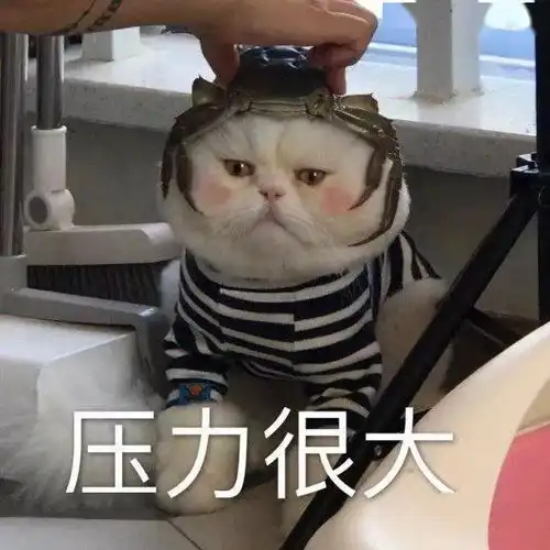 生活委员查寝了