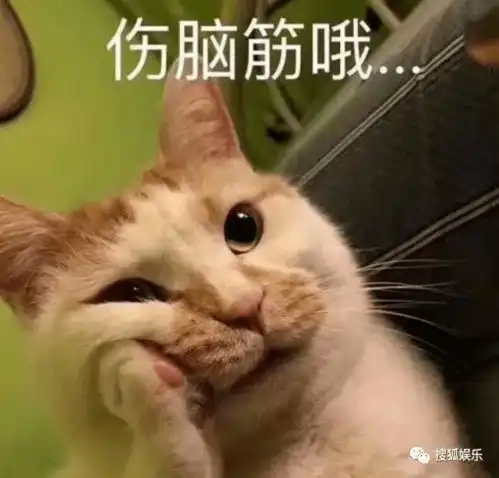 娱乐日报王子文耍大牌郝富申恋情曝光韩美娟说创4选手互相抢资源