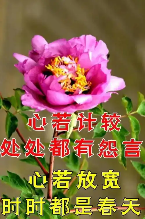 二次元表情包早上好表情