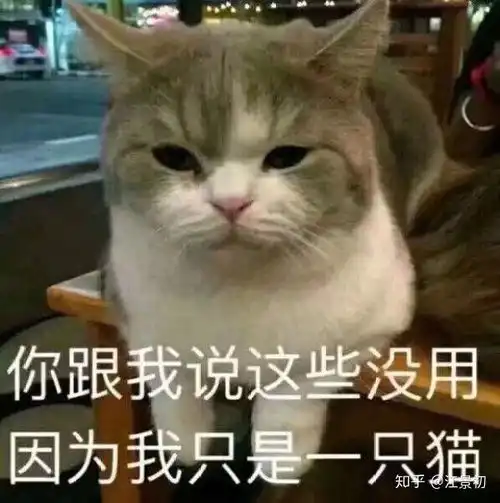 搞笑微信表情包猫咪猫咪