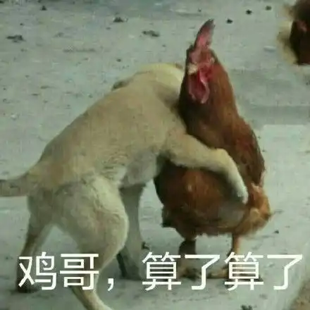 鸡哥算了算了无水印表情包鸡哥算了算了表情包下载原图