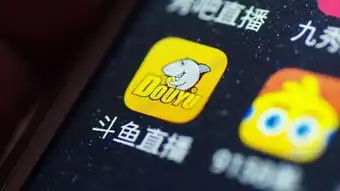 恶意炒作被斗鱼封号,乔碧萝殿下想建平台,求融资