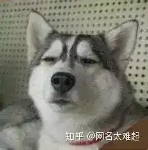 眉毛很粗的狗表情包