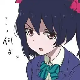 这句日语什么意思