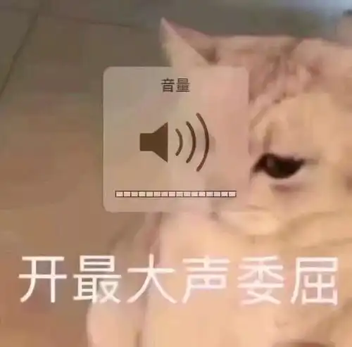 高频率使用的猫咪表情包第一期