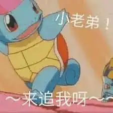 前方大量表情包出没杰尼龟咋就变成憨批代言人了