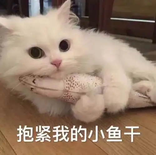 西安重污染天气橙色预警超10天仍未解除陕西中南部将有雨雪