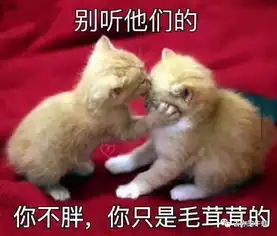 鸡娃季,如何避免娃的玻璃心碎了一地