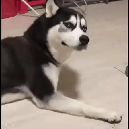 仲夏水军来了做仲夏满天心的第一股自来水