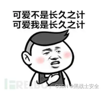 web渗透之信息收集撩妹篇上