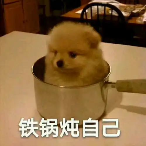 铁锅炖自己表情包集表情