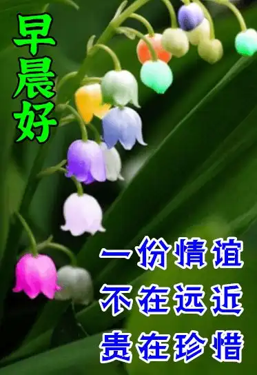 最漂亮早上好动态表情图片大全,早上好动图美图大全