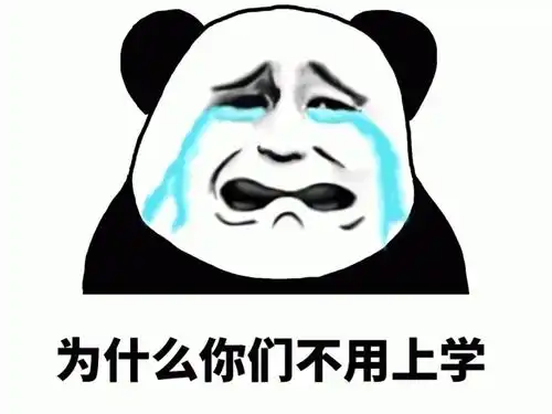 表情包你们为什么不用去上学
