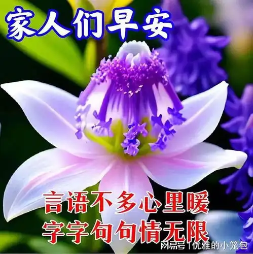 20240924今日最新早上好动画表情包2024创意好看的秋日早