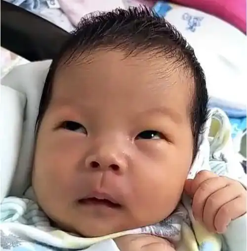 当新生宝宝被抱回家后,一脸嫌弃的表情这种家庭也敢生我