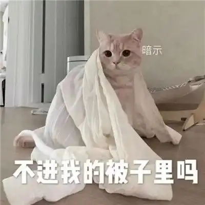 天冷了发给你对象的拼床表情包可以一起睡觉吗我怕冷