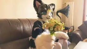 大猫猫小拳拳捶你胸口3.0