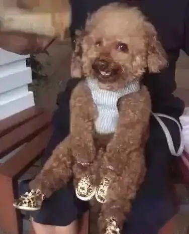 每日一笑,当妈后,感觉身体被掏空