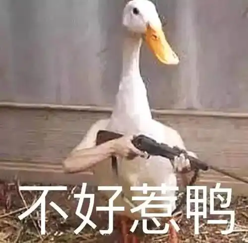 沙雕表情包老太太