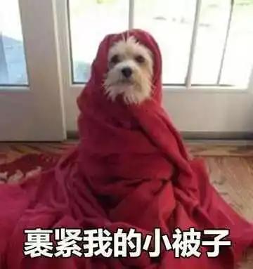 期末考试不用复习就能过的诀窍