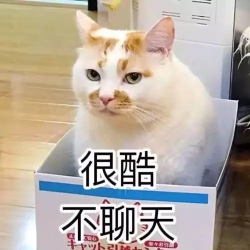 你是讨好型人格吗