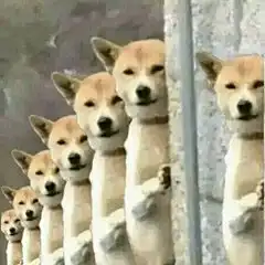 stm32驱动ws2811实现渐变色跑马灯