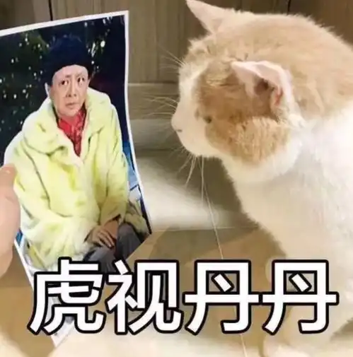 搞笑微信表情包猫咪微信