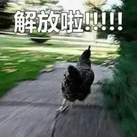 我下班了呀表情包