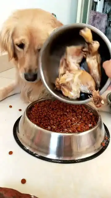 吃饭要有仪式感,不来点表情就不香