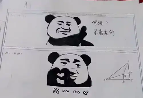 在习题本上画图不算什么,在试卷上画才厉害,老师你是认真的