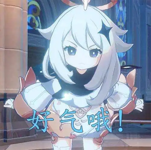 原神1.4版本又是双属性卡池,公子芭芭拉up,天空弓四风up有点香