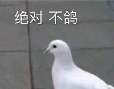 红包表情包整人鸽子
