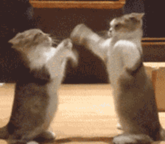 2021最后一天,执业药师总结出满满干货,助你平安跨年