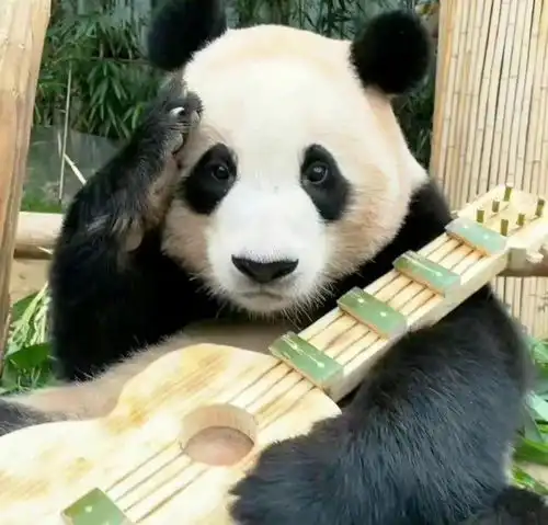 霸屏热搜两天的韩国男人,给中国网友整得心都软了