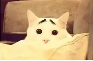 新学期学校老师一天表情大全,这气质...不许笑