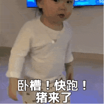 师父,二师兄被交警带走了