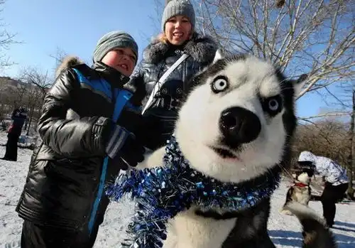 抢镜王二哈,拍合照时看到比特的表情后,瞬间懵逼了...