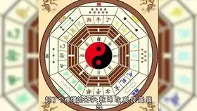 tarot塔罗占卜复合专题8你的他现在是单身吗任何关系有选项爱丽丝塔罗love