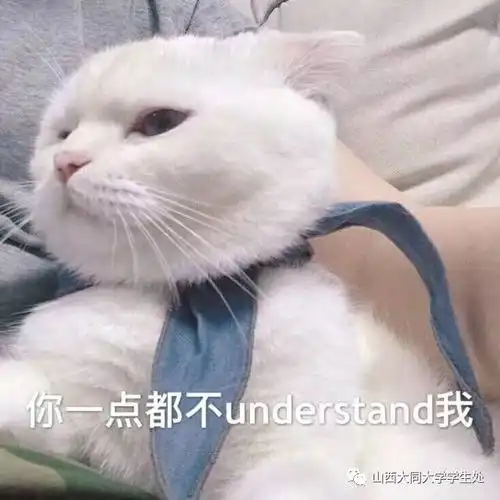 过年之囧事一箩筐