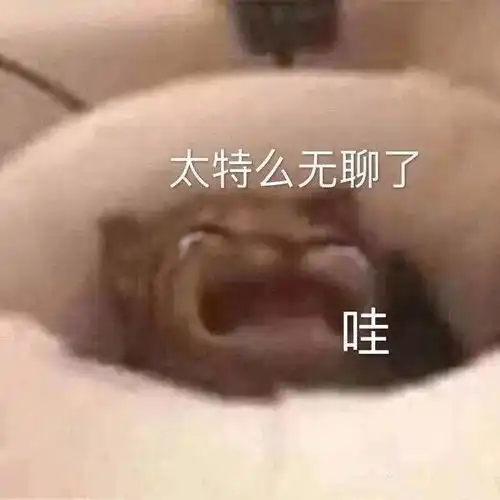 猛狗落泪动态表情包