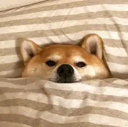 其实哪有什么转机,不过是学会了坚持那些最艰难的时刻,你是怎么过来的