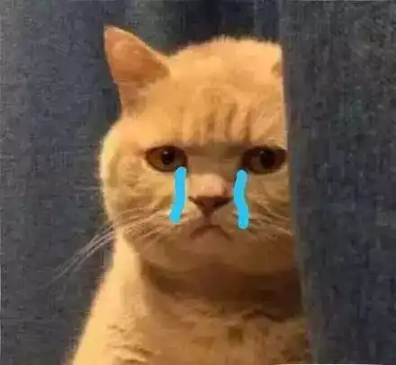 为什么有的学校不让带手机可能是老师怕看到学生手机里的自己