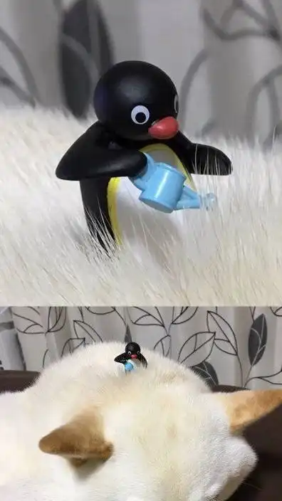 幽默搞笑段子集看看什么叫小伙伴们都惊呆了哈哈哈哈哈哈