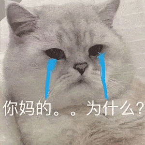 表情包杂集猛狗哭泣